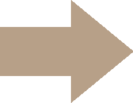 FRECCIA DX